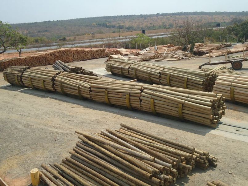 Informações técnicas sobre madeira tratada