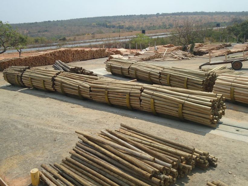 Informações técnicas sobre madeira tratada