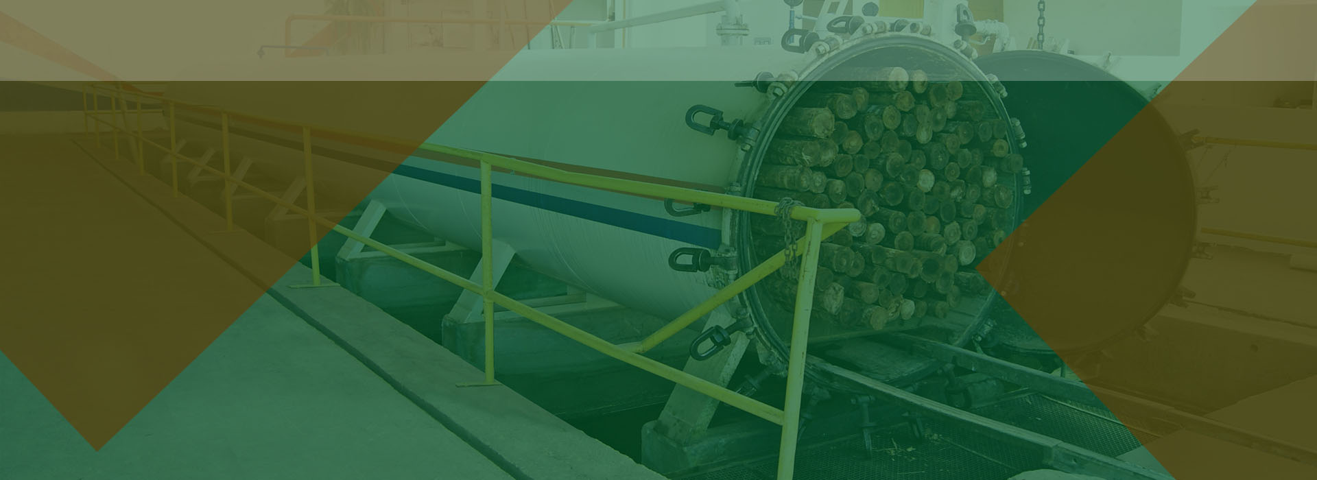 EUCALIPTO TRATADO MG